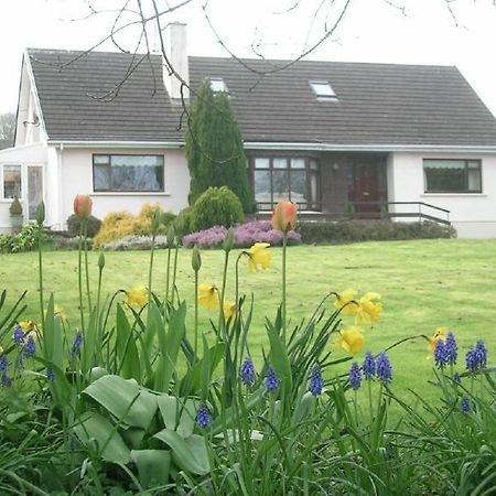 Glen Na Smole Bed & Breakfast Уиклоу Екстериор снимка
