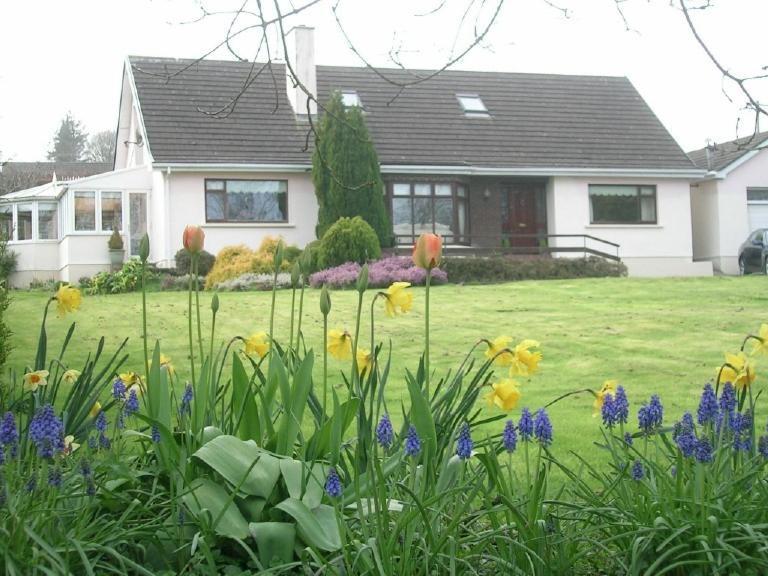 Glen Na Smole Bed & Breakfast Уиклоу Екстериор снимка