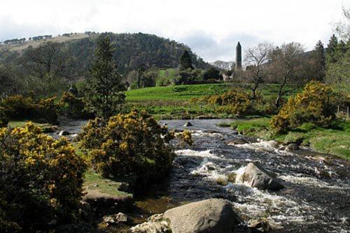 Glen Na Smole Bed & Breakfast Уиклоу Екстериор снимка